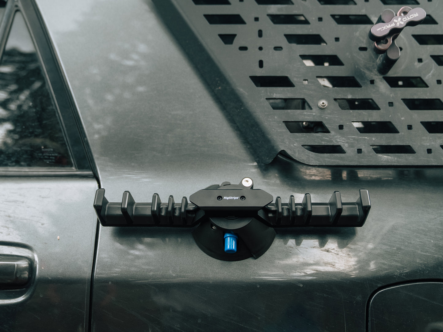 RigStrip | Suction Cup