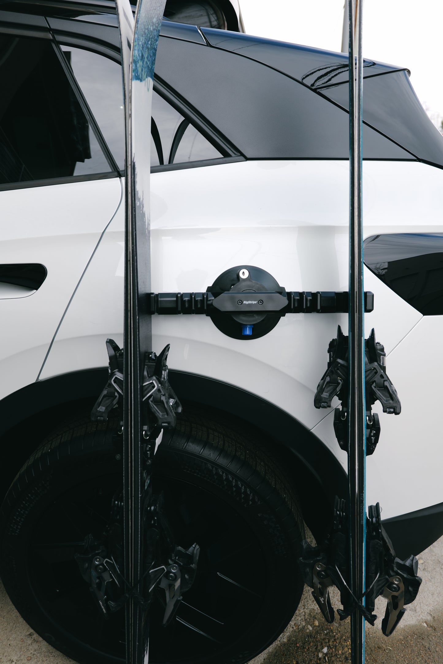 RigStrip | Suction Cup